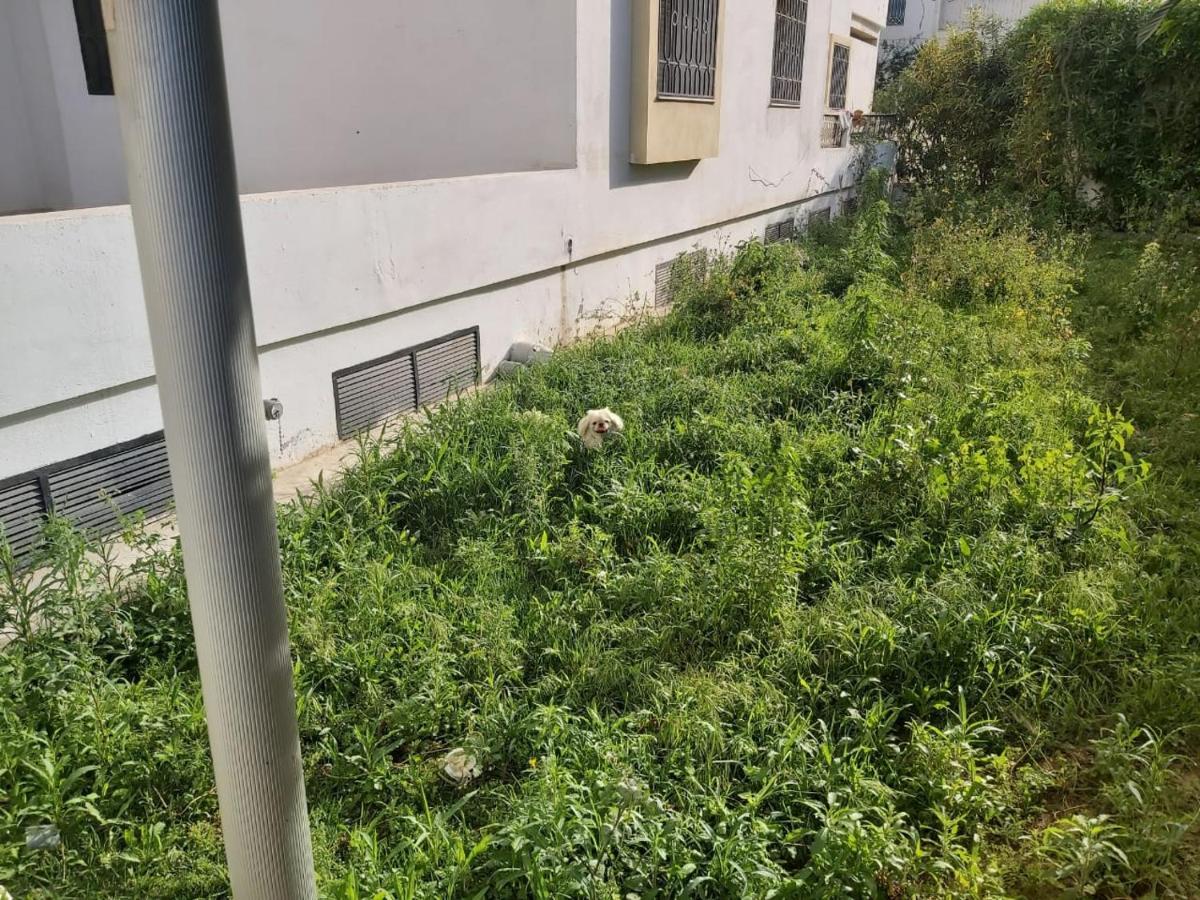 Ideal Appart Ain Zaghouan Tunis El Aouina Eksteriør billede
